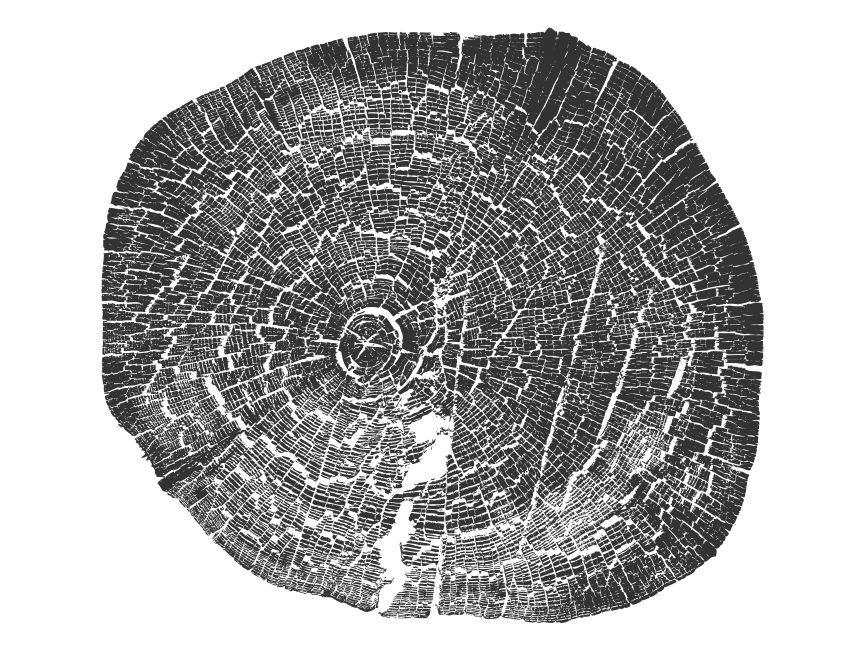 Wood Tree Stumps Pattern