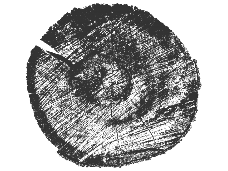 Wood Tree Stumps Pattern