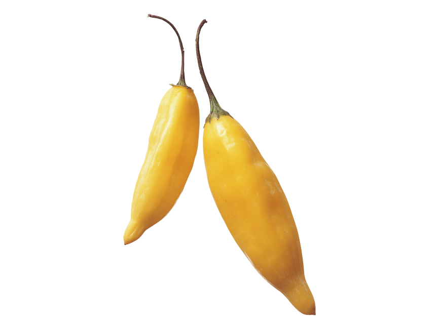 Yellow Hot Pepper
