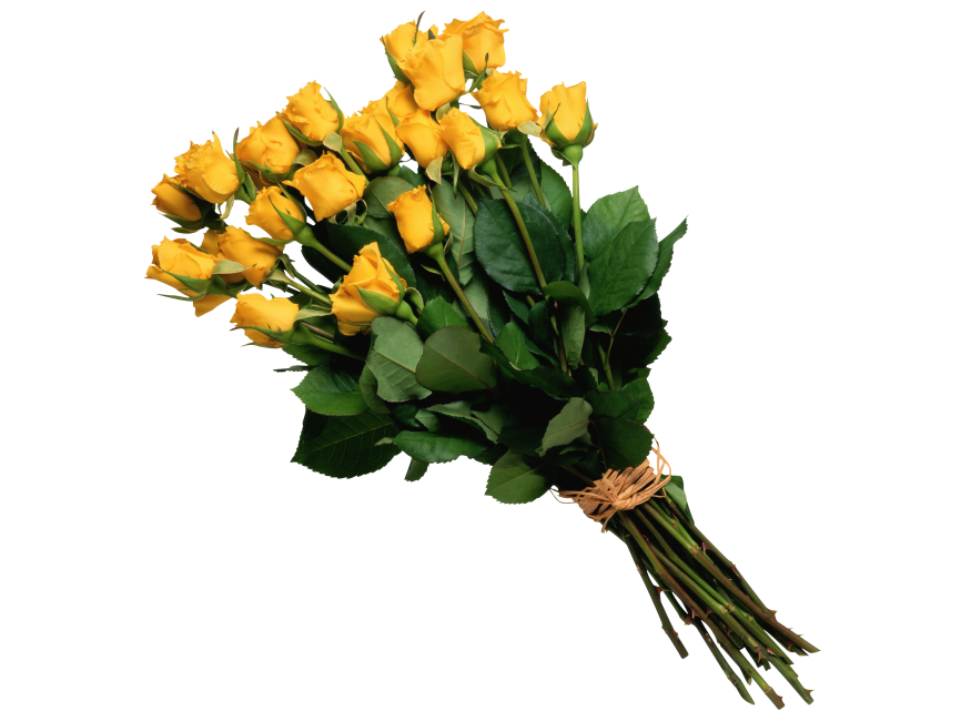 Yellow Rose Bouquet